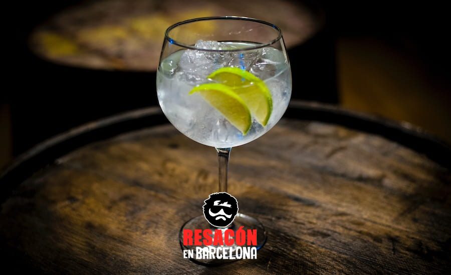 top gin tonics